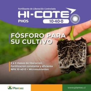 hi-cote-phos-2